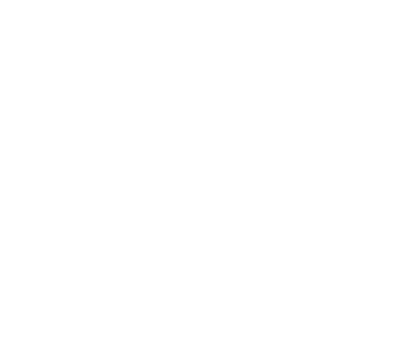 Southampton city council logo